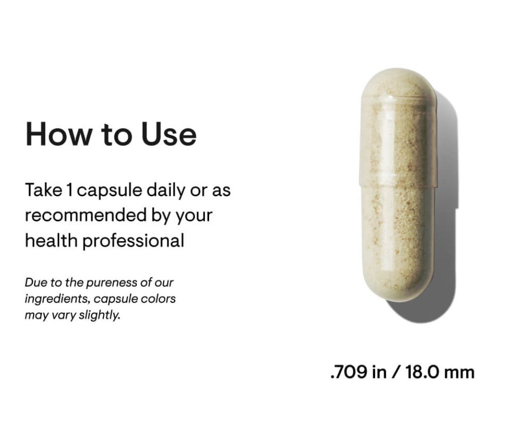 Elevate your natural elegance with Thorne's Collagen Plus. Revitalize skin, nourish hair, strengthen nails, and embark on a beauty rejuvenation journey. Exclusive at the Discount Annex!