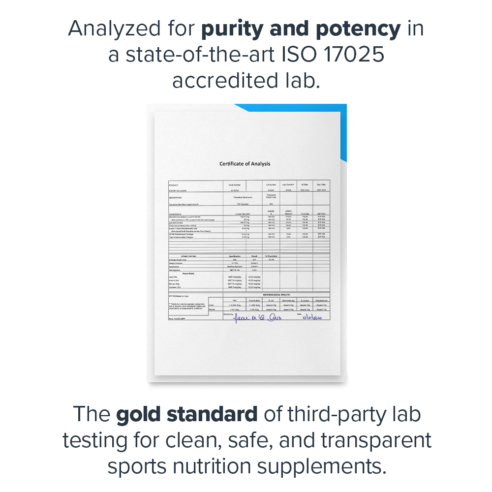 Legion Fortify Joint Support displayed on a sleek wooden table, available now at Discount Annex for a limited-time deal.