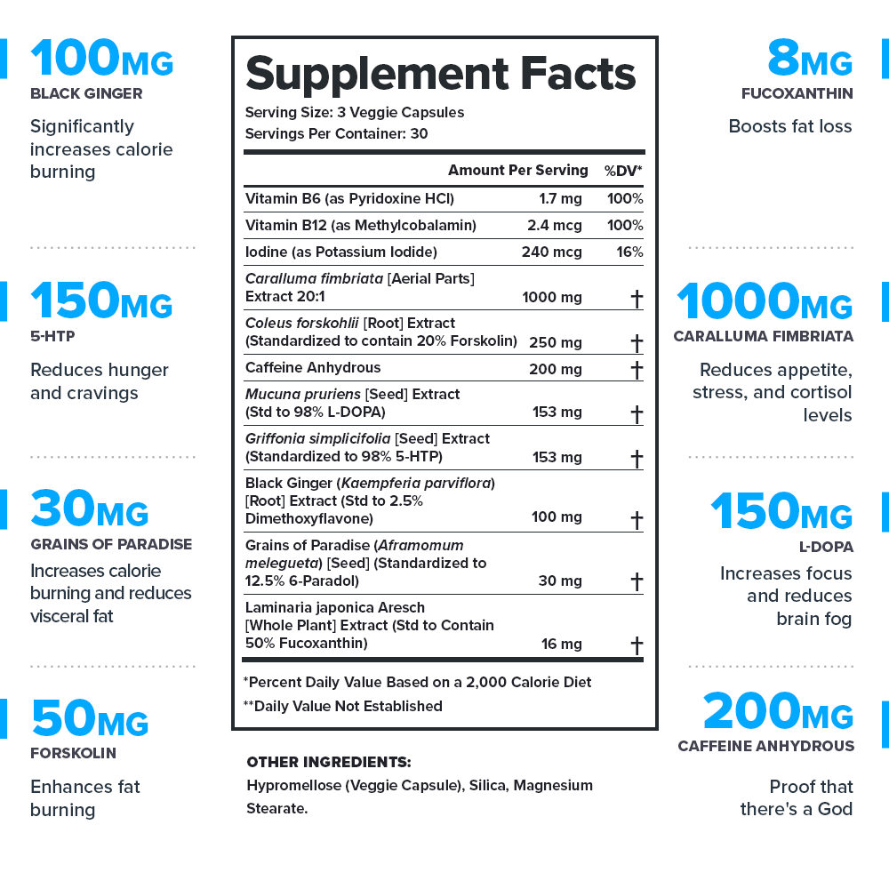 Find your weight-loss partner at Discount Annex: Phoenix Fat Burner, steering your health voyage with science and nature's best.