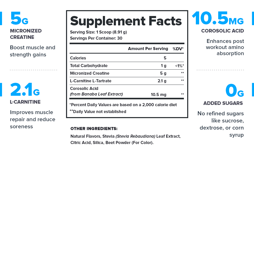 Unveil the secret to rapid muscle recovery with Recharge. Exclusively available at Discount Annex, it's the game-changer your workouts have been waiting for.