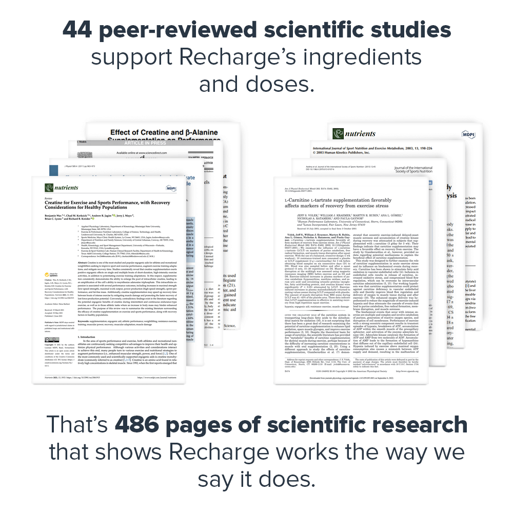 Experience the revolution of post-training recovery with Recharge, now available at Discount Annex. Boost your muscle growth, strength, and accelerate recovery naturally.