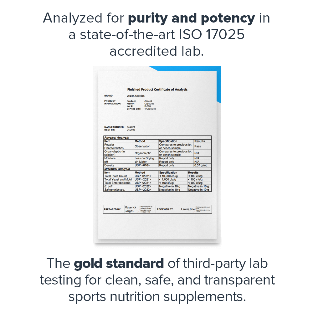 Boost your cognitive prowess with LEGION Athletics Ascend Nootropic available now at Discount Annex; an all-natural supplement for unparalleled focus and clarity.