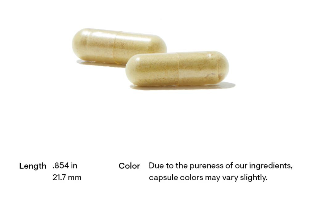 Unlock your health potential with Basic Nutrients 2/Day from Discount Annex! Simplify your wellness journey with our two-capsules-per-day protocol, packed with necessary nutrients." "Discover the optimal way to support your health with Basic Nutrients 2/Day, now available at an exclusive discount from Discount Annex! This supplement offers extensive nutritional support in just two capsules.