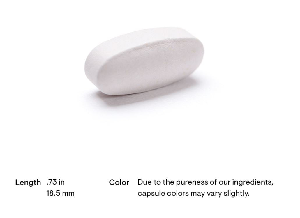Explore Thorne's Beta Alanine-SR at Discount Annex, your go-to for enduring muscle output and performance support. Unlock athletic potential with this reliable and clean supplement.