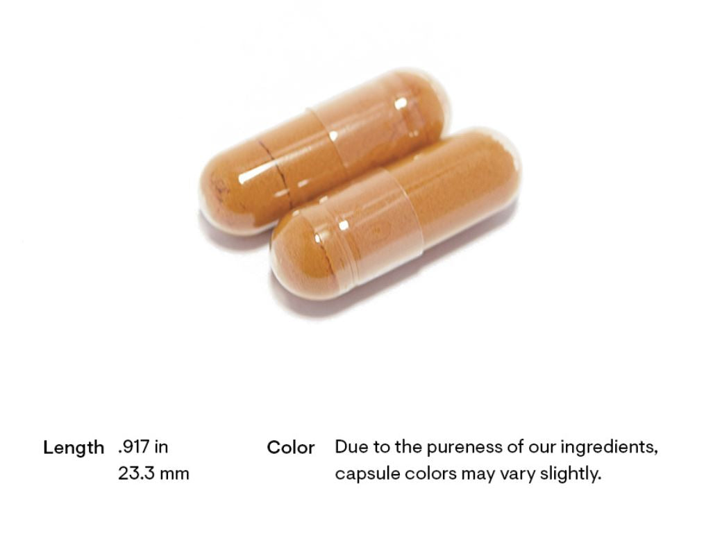 Discount Annex introduces Thorne's Multi-Vitamin Elite, a harmonious blend of traditional herbs and modern science, delivered in easy-to-consume AM and PM formulas. Embrace the art of balancing energy production and recuperation, all while nurturing your overall wellness.