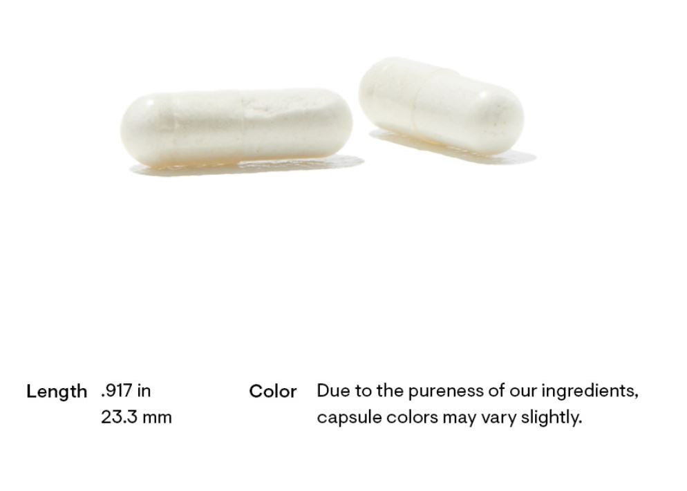 Seek Discount Annex for Thorne's Multi-Vitamin Elite, a unique coupling of two potent formulas to cater to your body's AM and PM needs. This product fosters energy synthesis, supports restful recovery, and promotes a healthy aging process, setting a new standard for your wellness routine.
