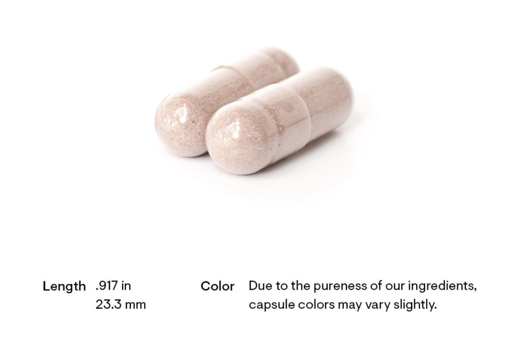 Discover a world of optimal health with Men's Multi 50+ from Discount Annex. A supplement carefully crafted for men over 50, it fills dietary gaps, boosts immunity, and aids those leading an outdoor lifestyle. Step into a healthful journey beyond 50 with us.