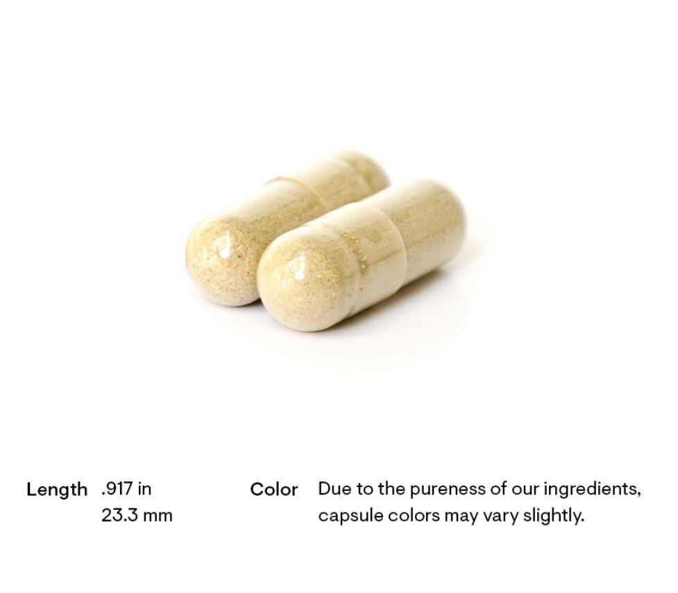 Embark on a path of vitality with ResveraCel from Thorne, a supplement supporting cellular rejuvenation and overall well-being. Shop now at Discount Annex to receive unparalleled value for your investment in health.