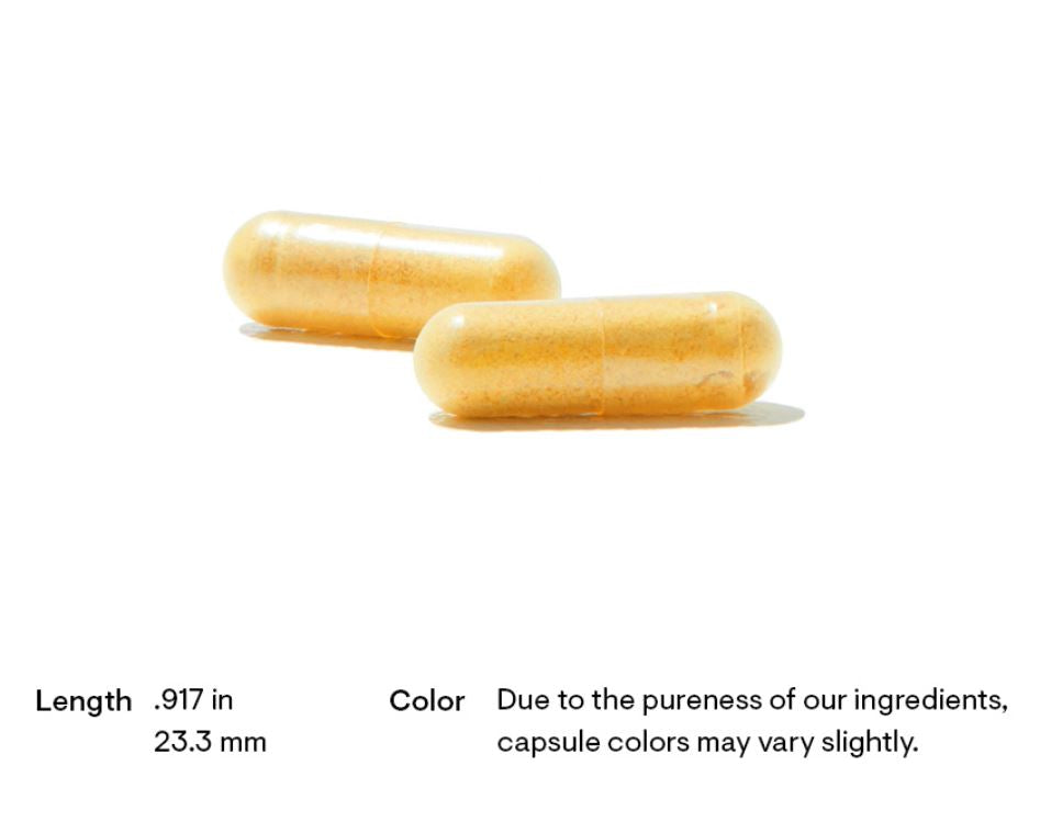 Harness the power of B vitamins and elevate your wellness journey.